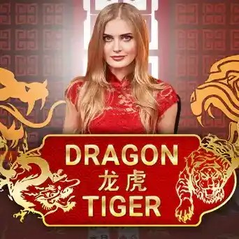 Play the Dragon Tiger slot by Evolution on Bizzo Casino